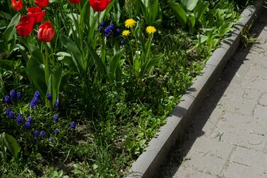 Zahradní obrubník - mezi chodníkem a trávníkem | Betonové zahradní obrubníky - fotogalerie