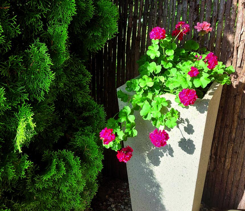 Betonový květináč Sára III barva natural povrch tryskaný - foto č.7