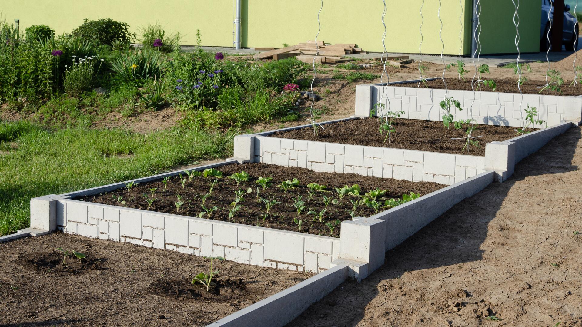 Betonové vyvýšené záhony představují chytrý způsob pěstování zeleniny
