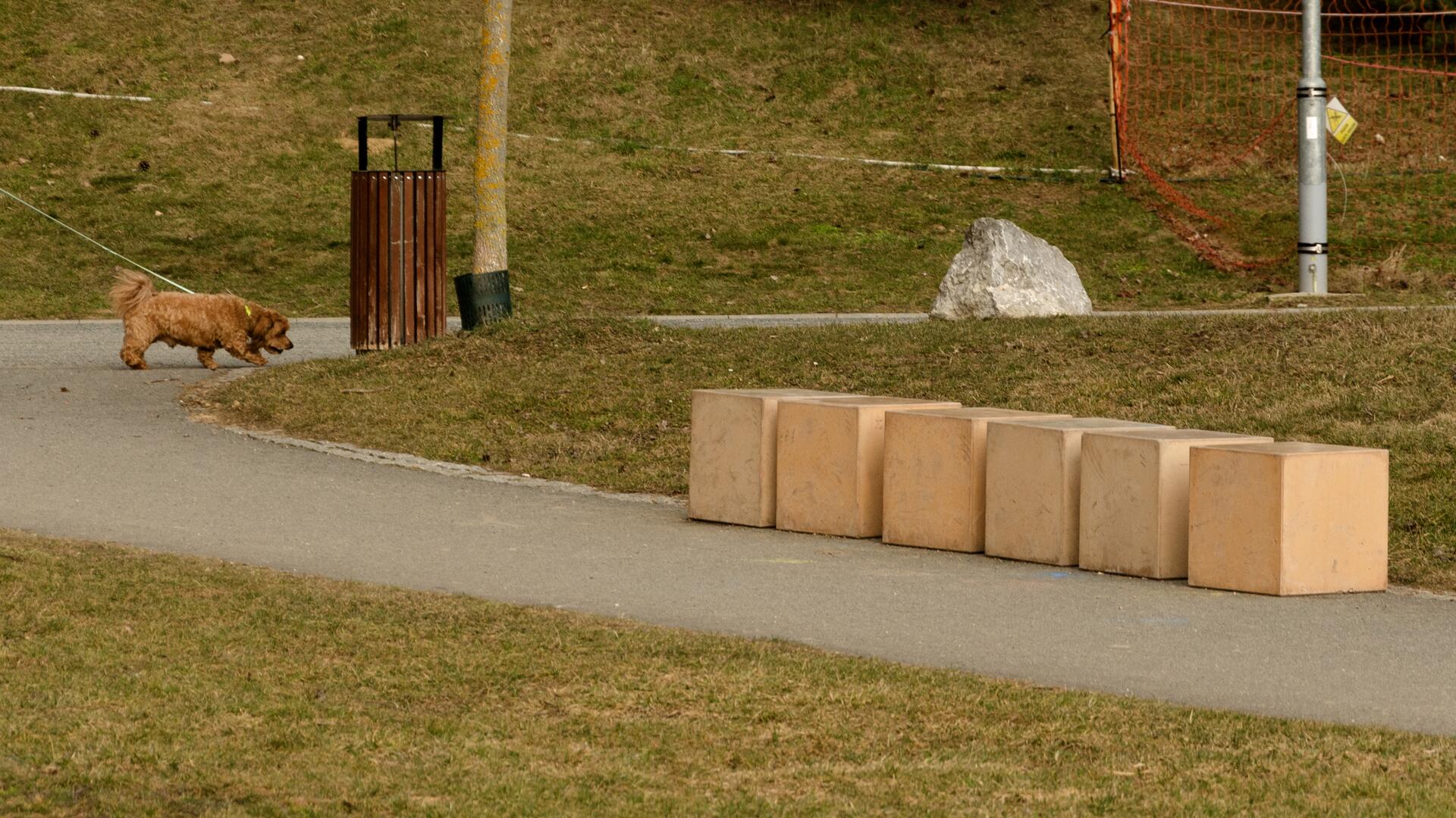 Betonové prvky oživily park Rokle v Brně-Líšni