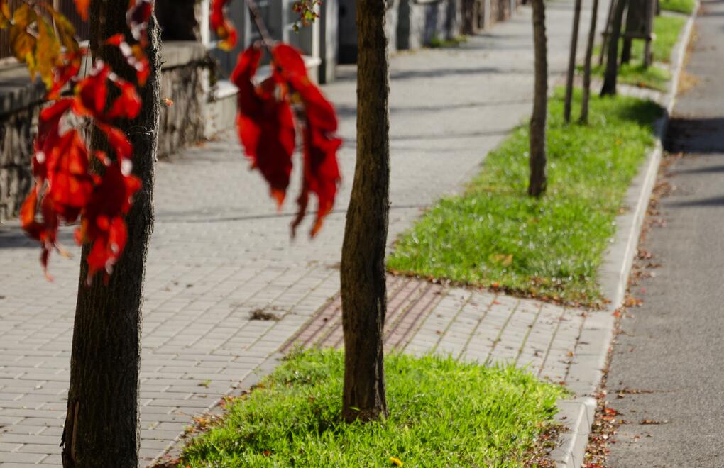 Městský chodník z betonových dlažeb a obrubníků