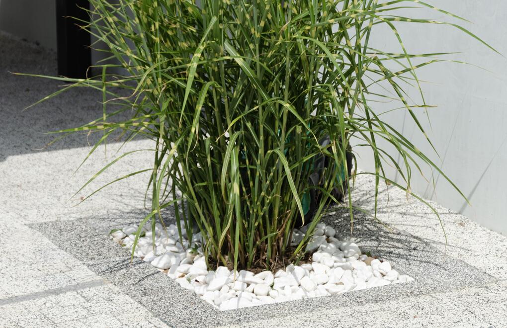 Moderní vymývaná dlažba RUBELIT®