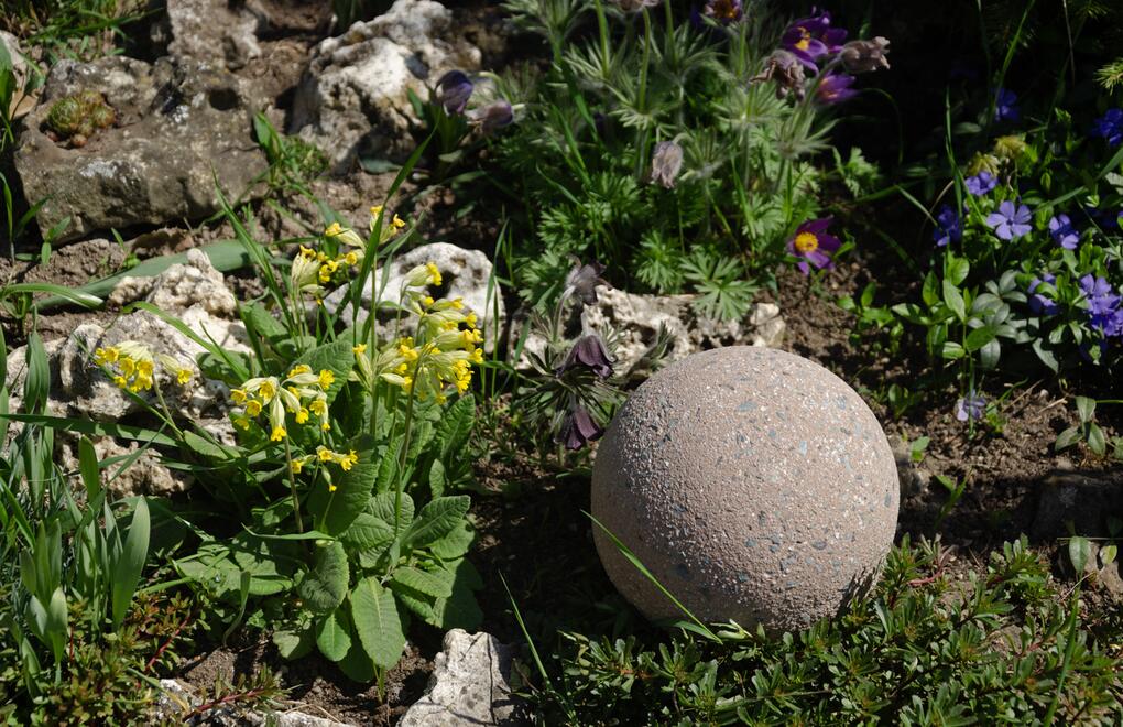 Okrasná betonová koule: skvělý doplněk na skalku, trávník i květinový záhon