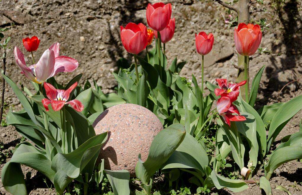 Betonová koule v jarní zahradě