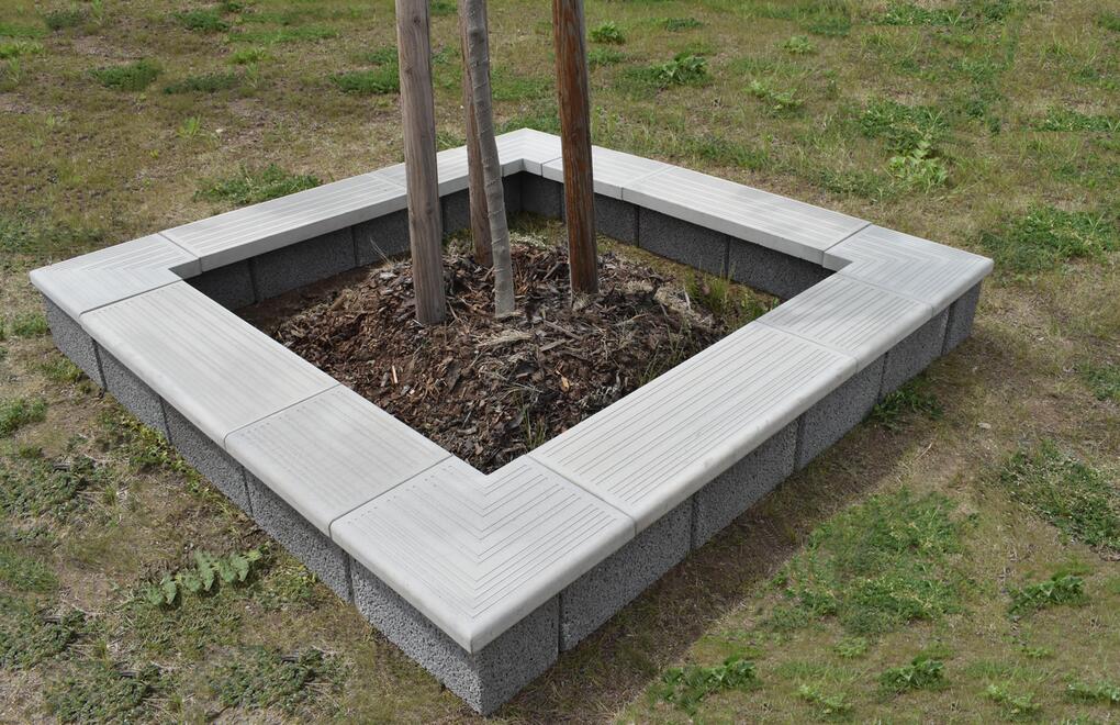 Betonové stromové lemy: ochrana stromů a keřů při sekání trávníku