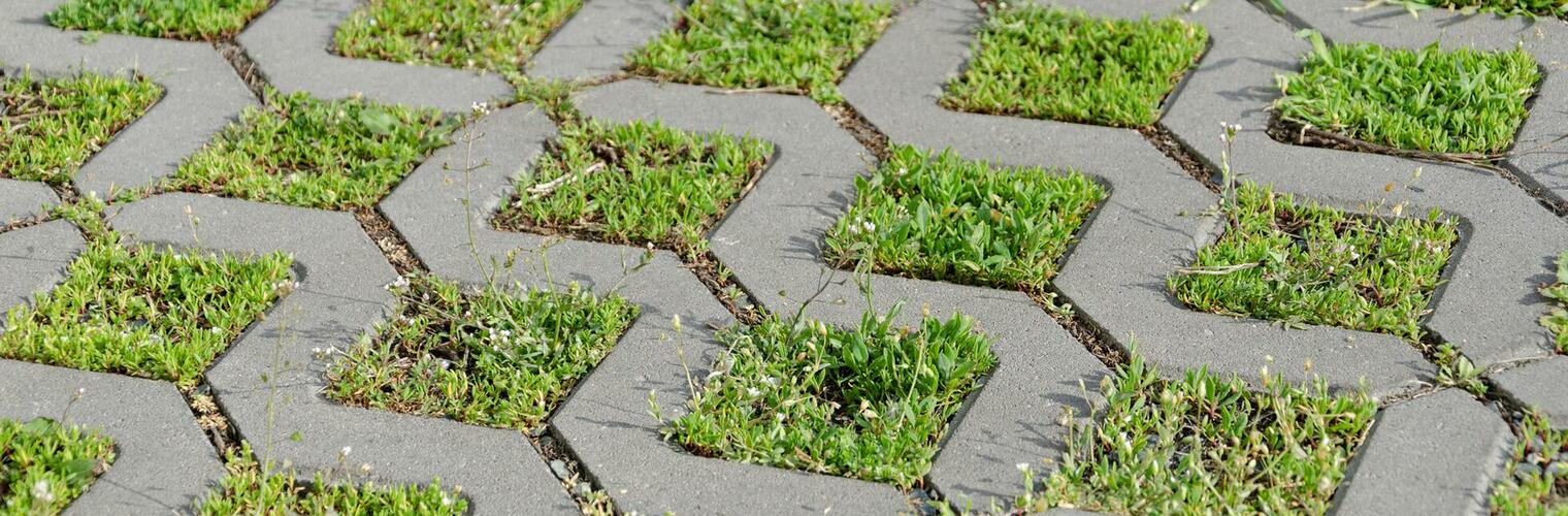 Betonová zatravňovací dlažba