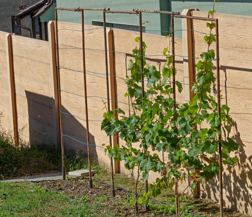 Betonový plot DEKOR oboustranný reliéf DŘEVO barva béžová - foto č.6