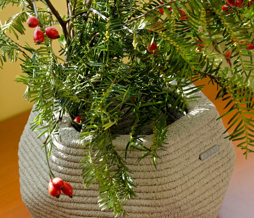 Květináč Lily z 3D tisk betonu - foto č.6