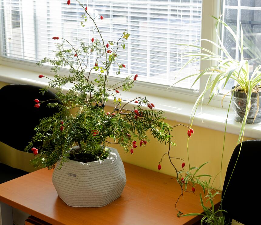 Betonový květináč Ella (L)+ s vnitřní plastovou vložkou - #3 - foto č.4