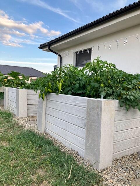 Vyvýšený záhon z betonových sloupků a desek - barva natural, dekor prkno jednostranné, sloupky hladké - foto č.7