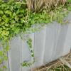 Betonové palisády obdélníkové hladké, barva natural - náhled č.9