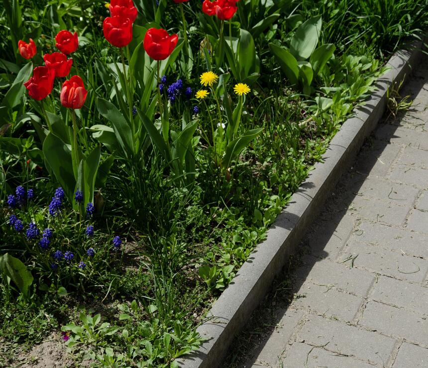 Betonový zahradní obrubník barva natural - foto č.6