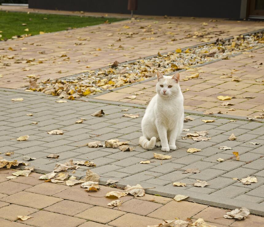 Betonová dlažba RODONIT® melír Rhodos - foto č.3