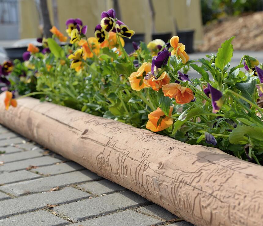 Betonový ohradník DEKOR dřevo barva béžová - foto č.4