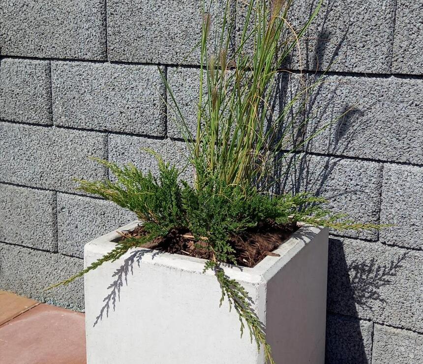 Betonový květináč Nela barva natural povrch hladký - foto č.10