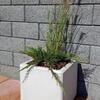 Betonový květináč Nela barva natural povrch hladký - náhled č.10