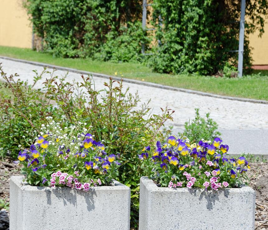 Betonový květináč Nela barva natural povrch tryskaný - foto č.4