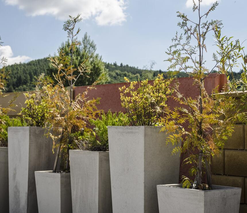 Betonový květináč Sára I, II a III barva natural povrch hladký